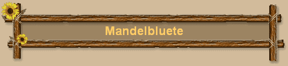 Mandelbluete